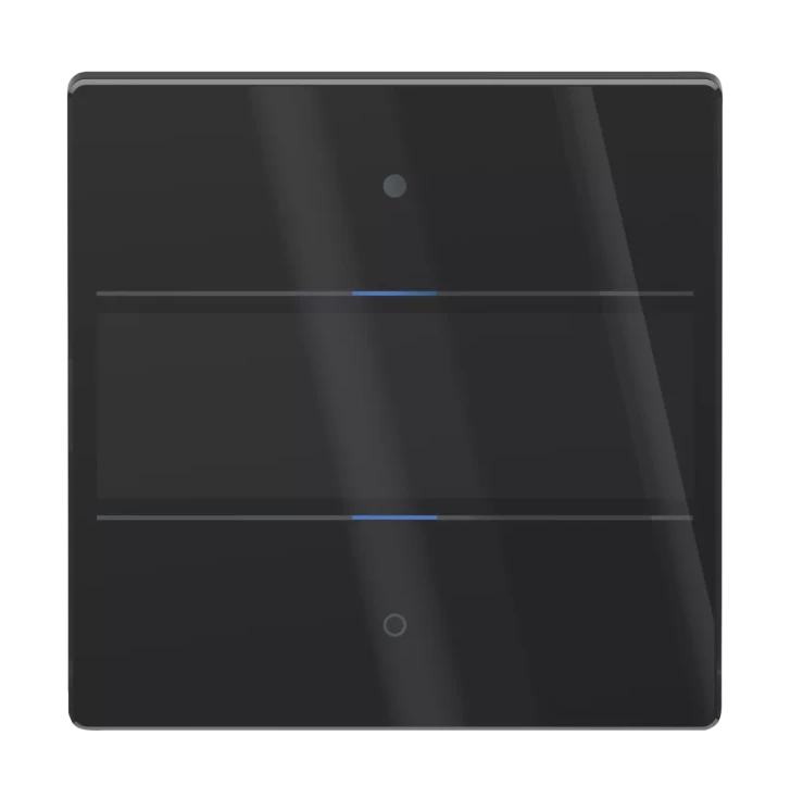 Панель управления Theben LUXORliving iON2 G BK (4804412)