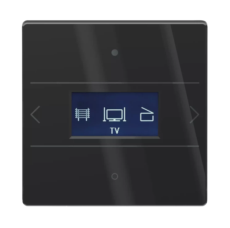 Панель управления Theben LUXORliving iON8 G BK (4804418)